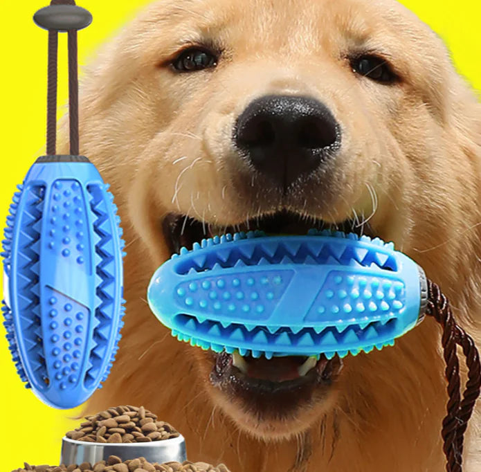 Chew-N-Clean Dental Dog Ball