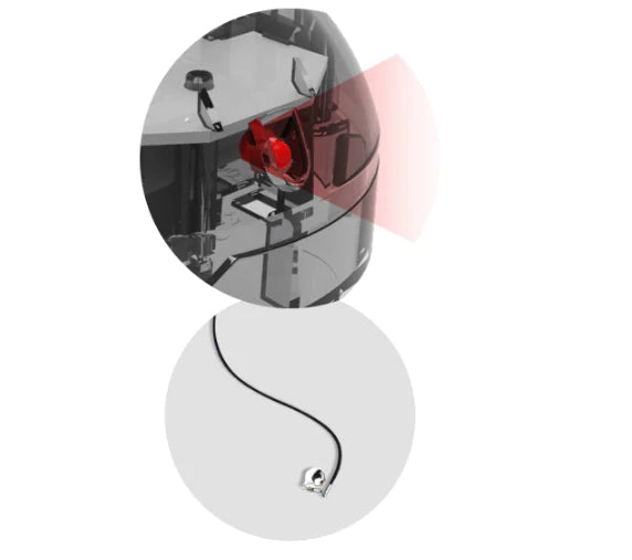 Electric Feline Fun Wand