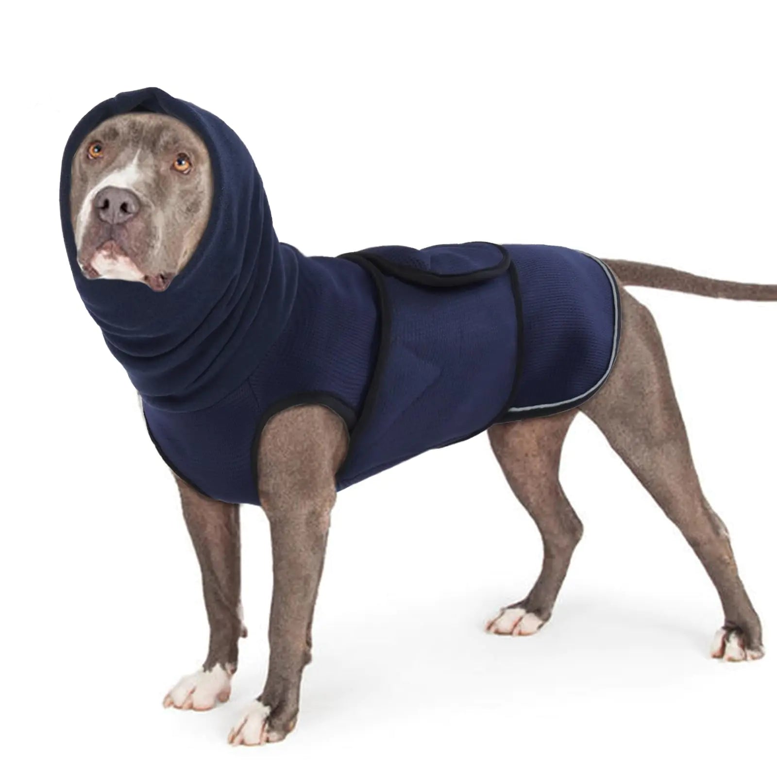 CozyCalming Dog Anxiety Jacket with Ear Covers