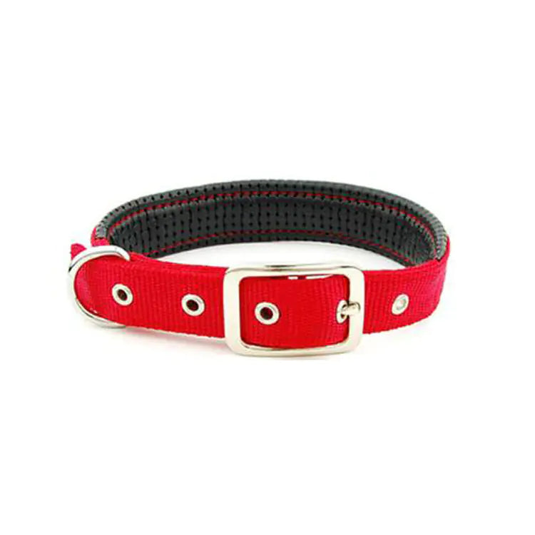 Durable Collars for Medium and Large Dogs