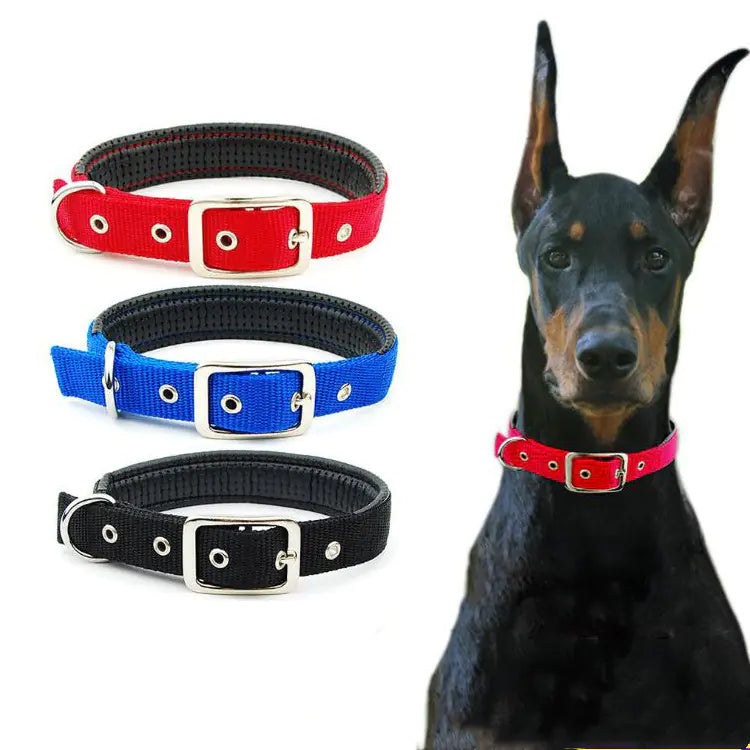 Durable Collars for Medium and Large Dogs