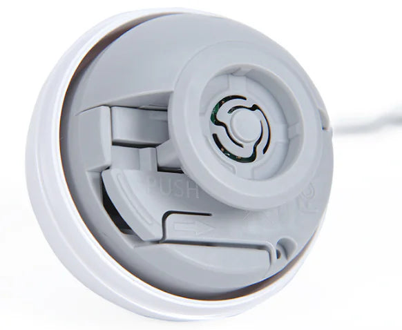 Electric Feline Fun Wand