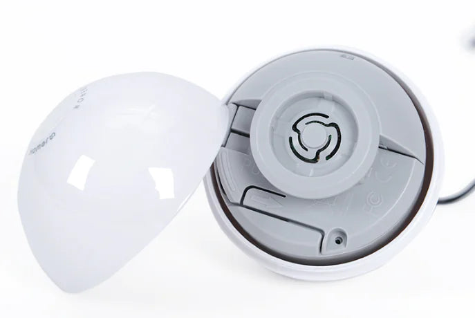 Electric Feline Fun Wand