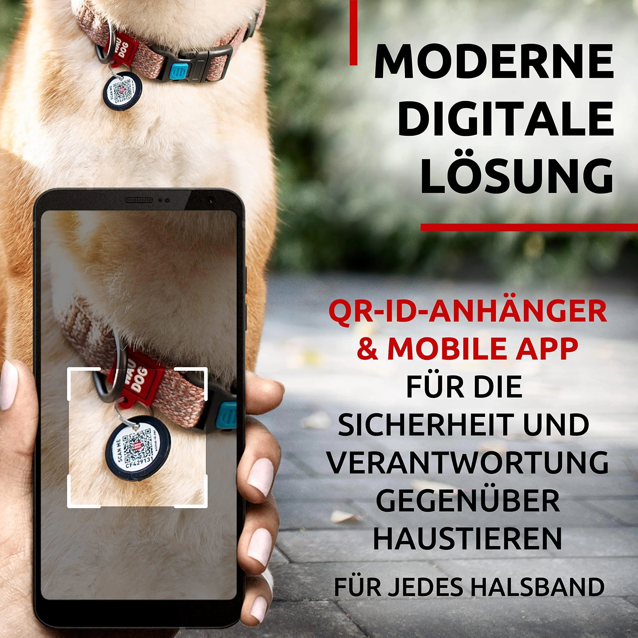 Eco-Friendly Reflective Cotton Dog Collar 10-16 inch