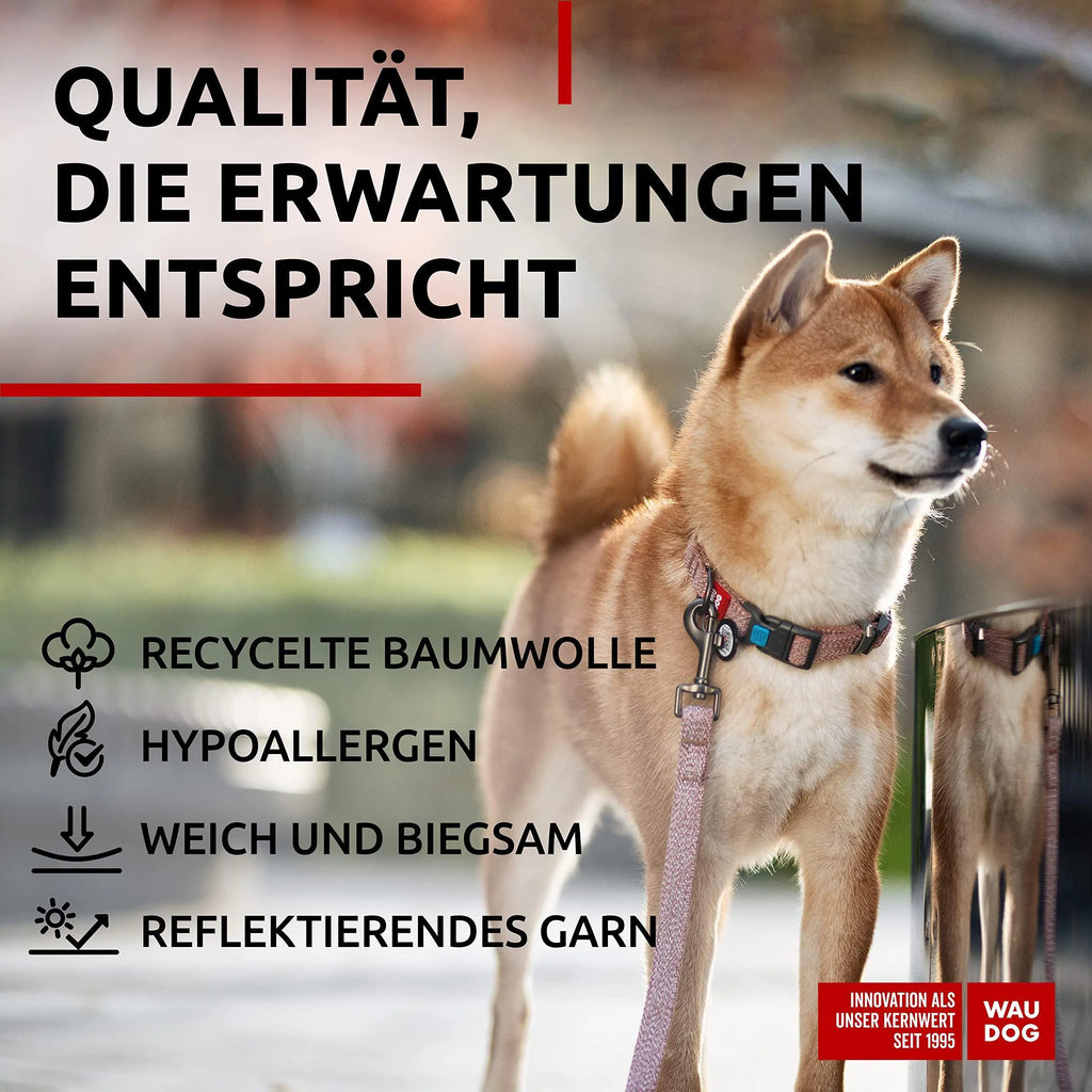 Eco-Friendly Reflective Cotton Dog Collar 10-16 inch