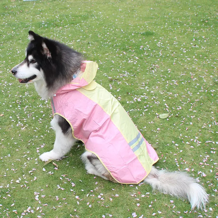 Large Breed Weatherproof Jacket