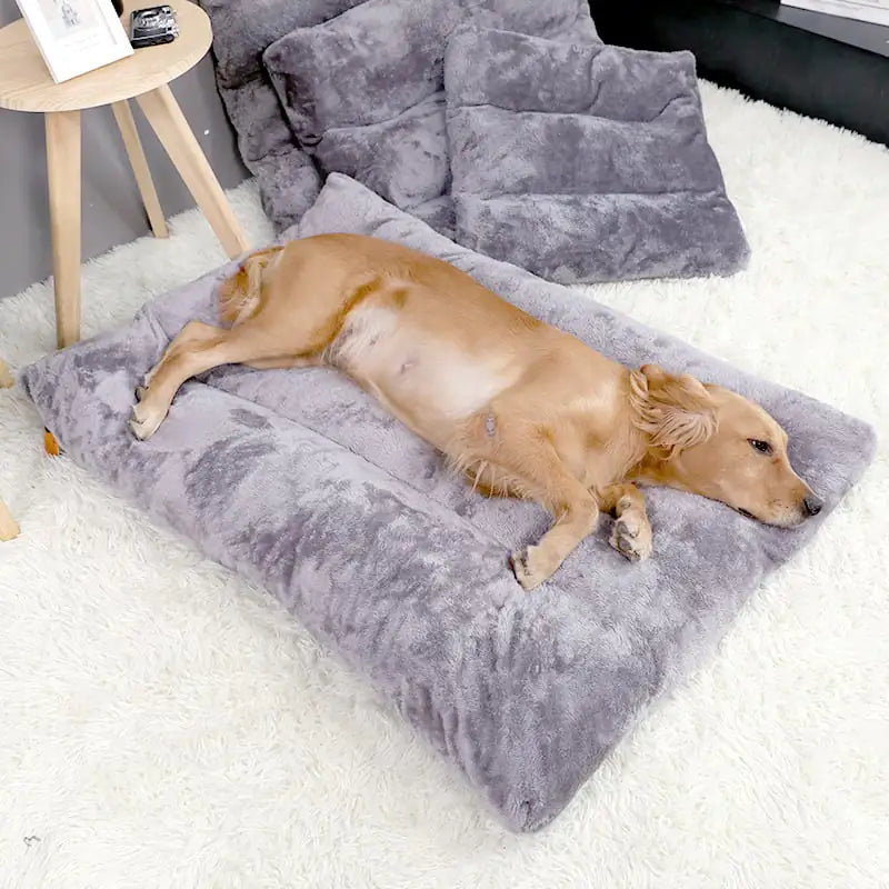 Cozy Plush Deluxe Dog Bed - 4 Sizes