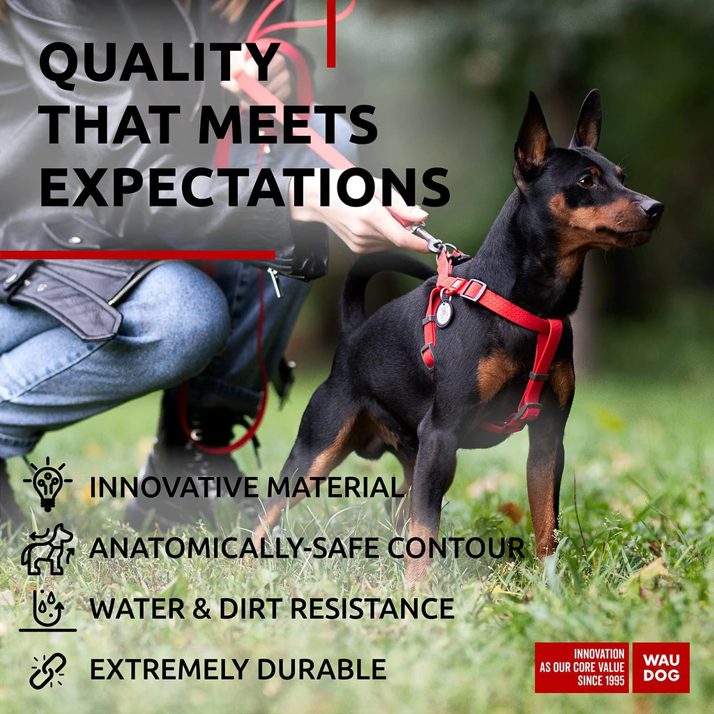 Adjustable Red Waterproof Harness for Small Dogs