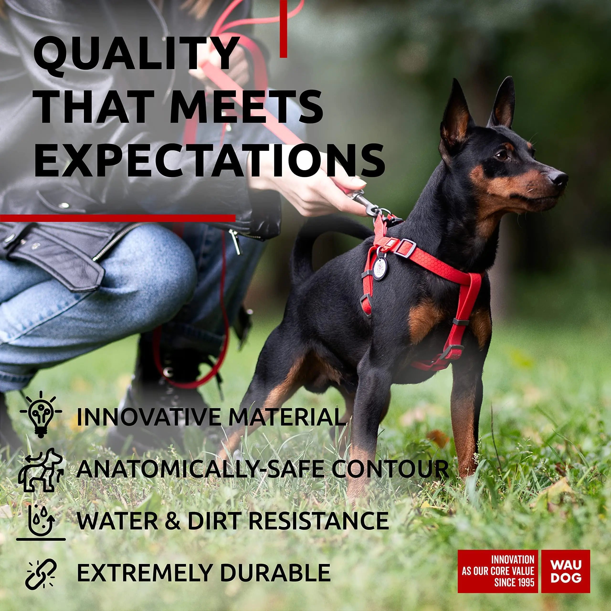 Adjustable Red Waterproof Harness for Small Dogs