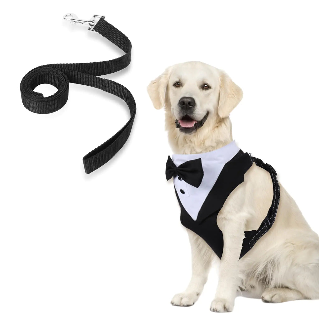 Chic Dog Tuxedo Harness & Leash Set