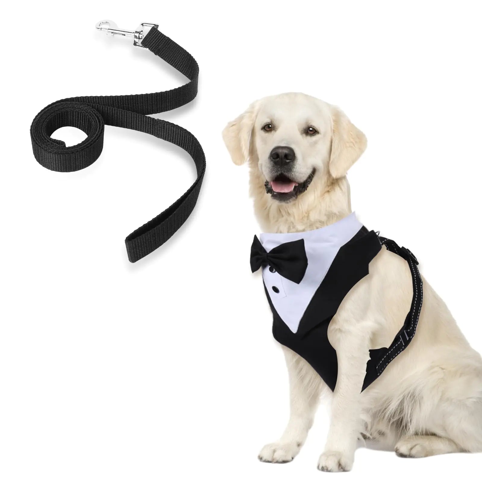 Chic Dog Tuxedo Harness & Leash Set
