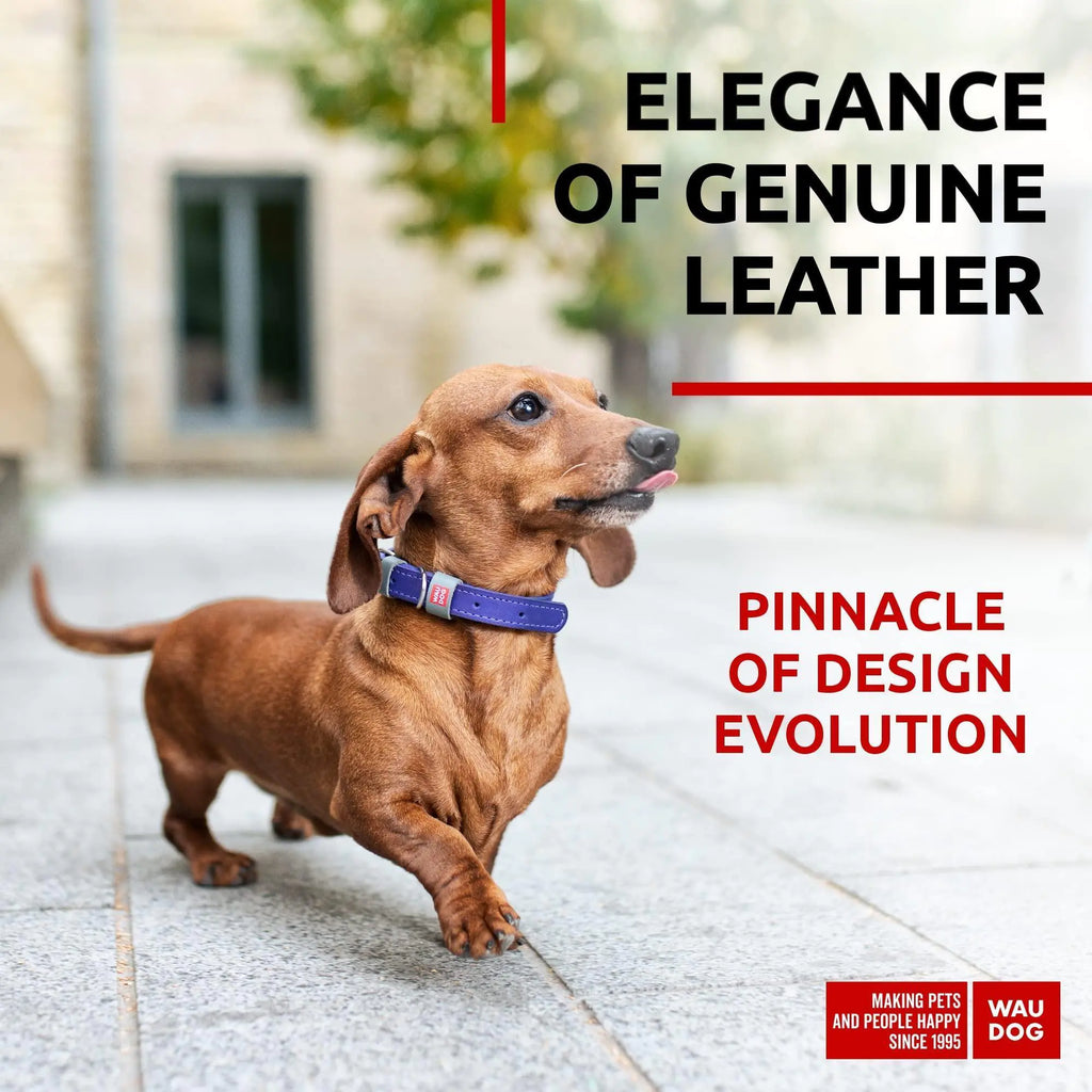 Lavender Durable Leather XS Dog Collar