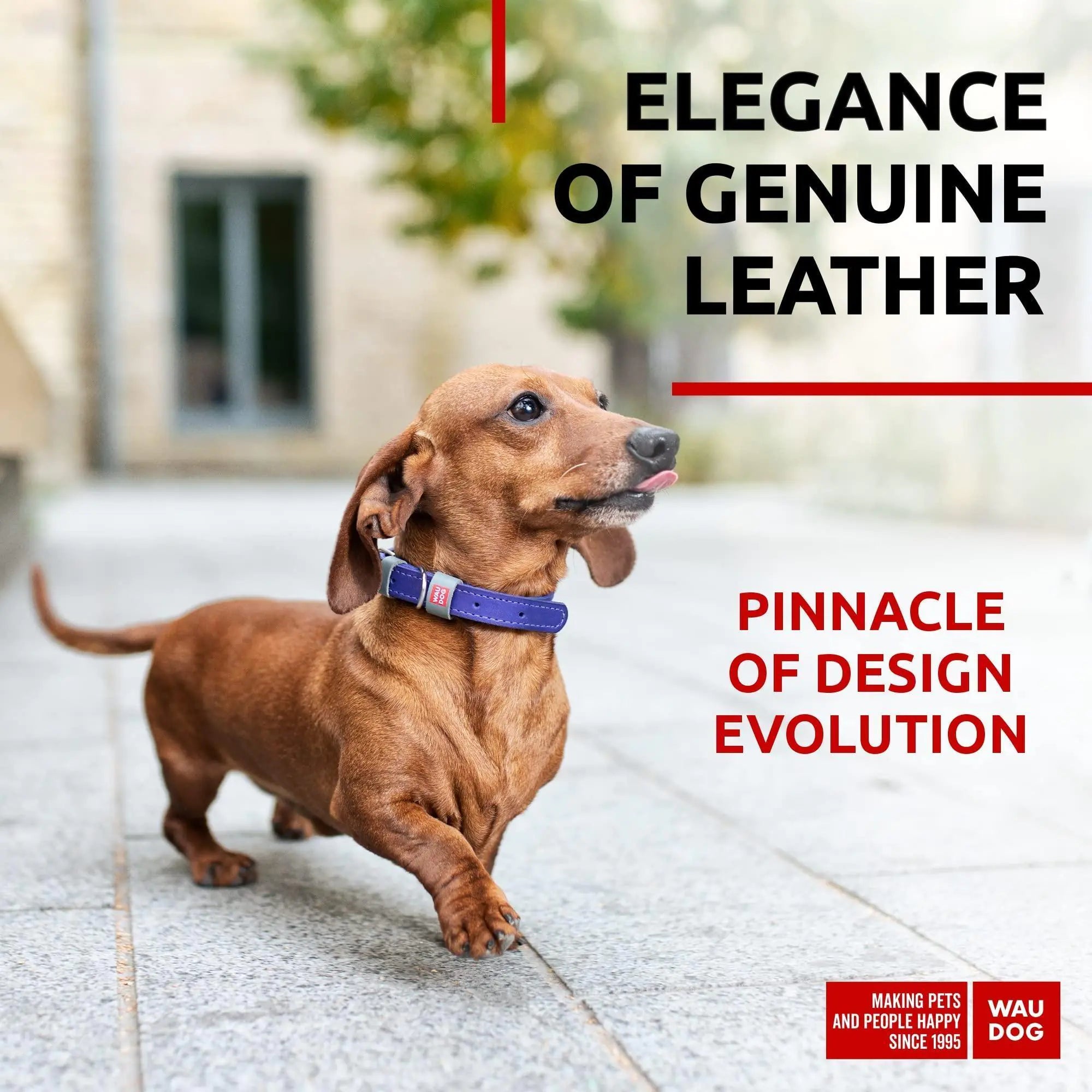 Lavender Durable Leather XS Dog Collar