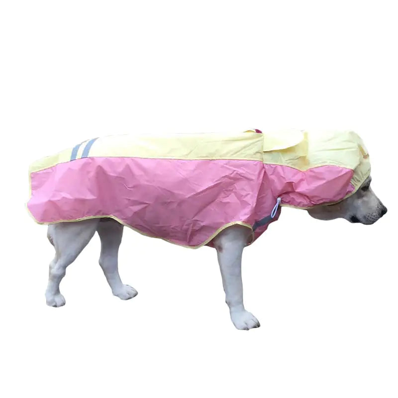 Large Breed Weatherproof Jacket