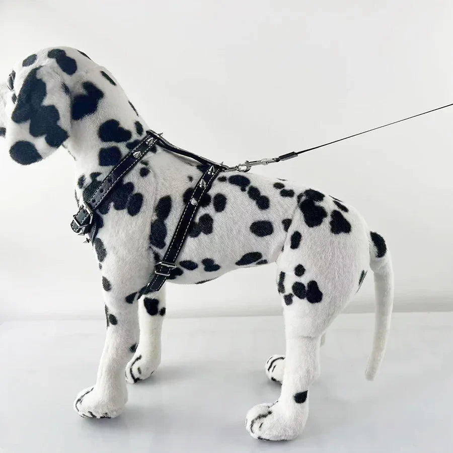 Fashionable Leather Dog Harness & Leash