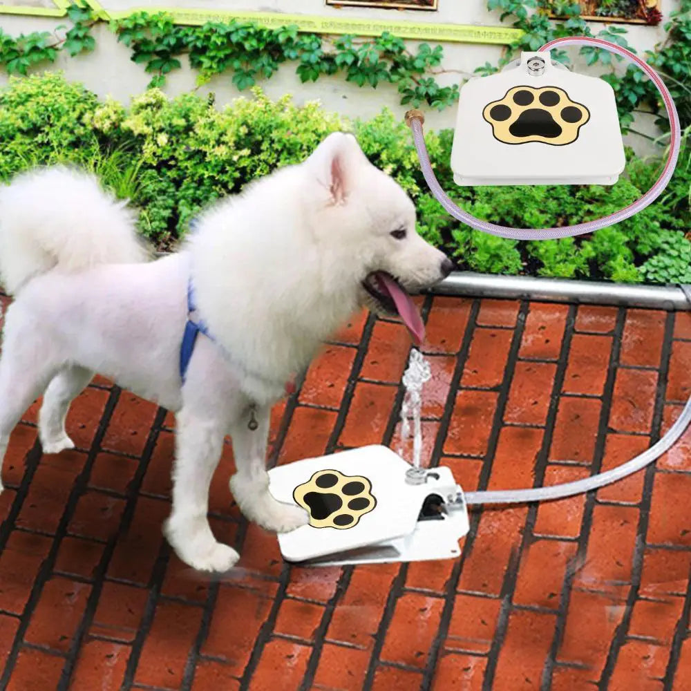 Easy Step Dog Drink Fountain