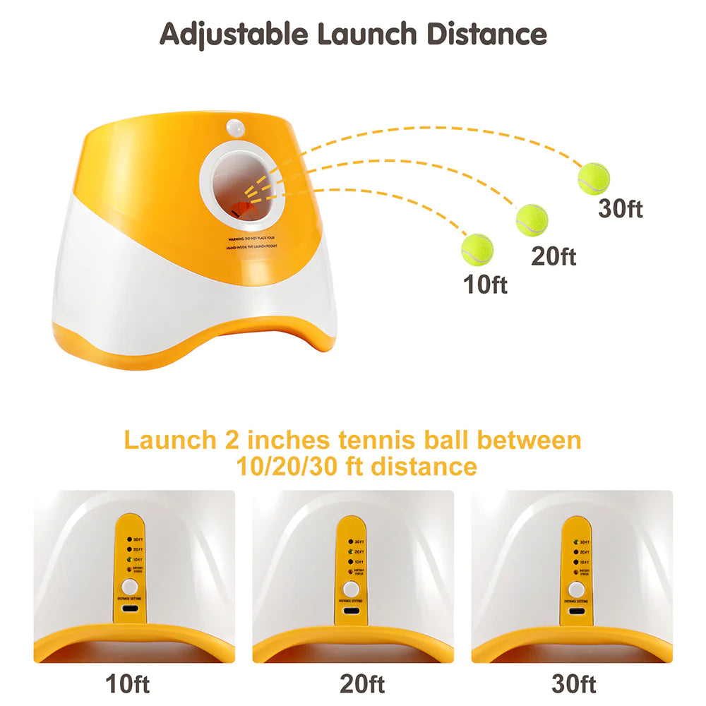 AutoFetch Dog Ball Launcher