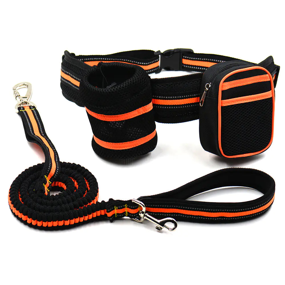 GlowGuide Pet Safety Set