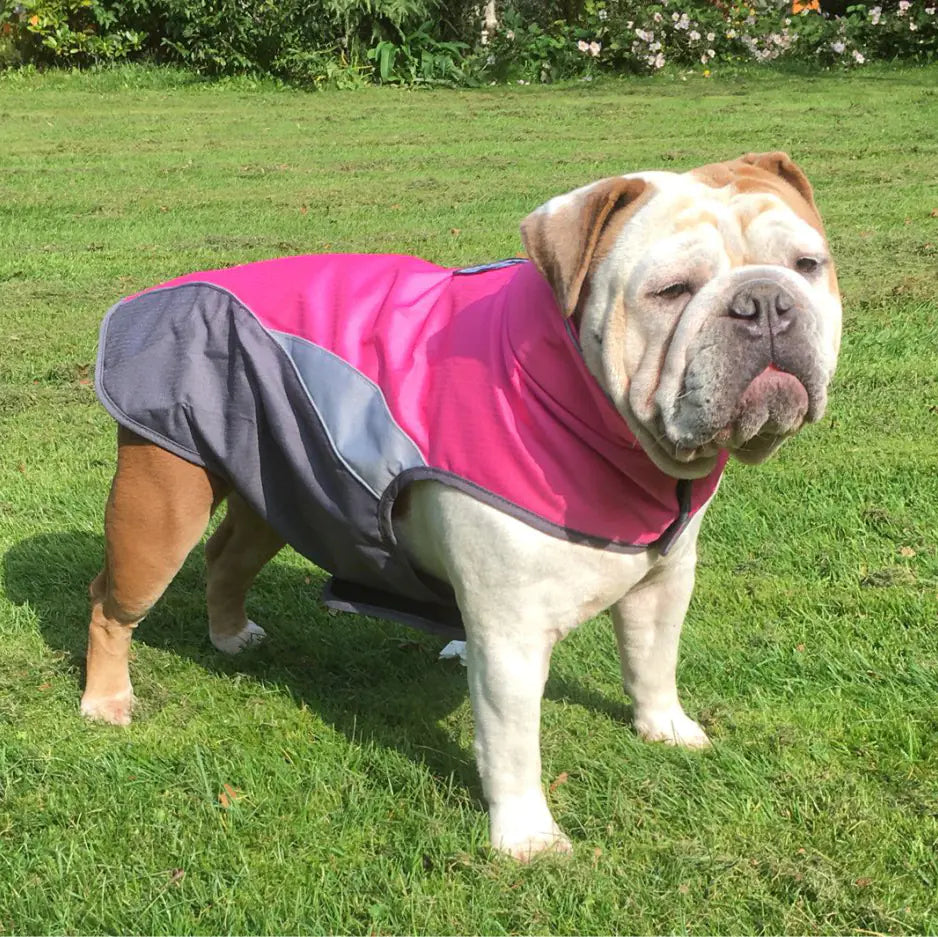 All-Weather Pet Protector Jacket