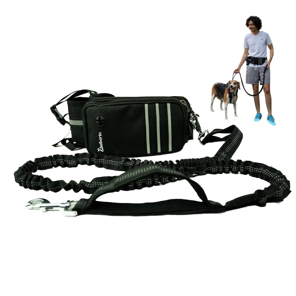 Urban Runner Dog Belt