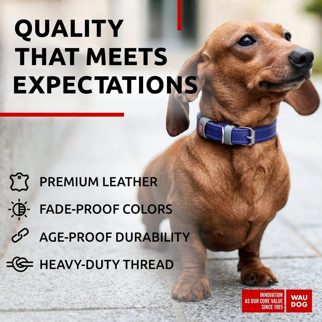 Lavender Durable Leather XS Dog Collar