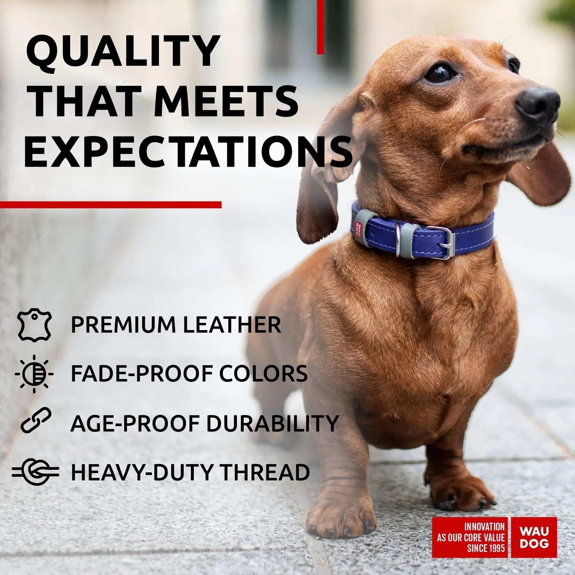 Lavender Durable Leather XS Dog Collar