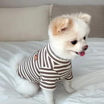 Cool Canine Summer Wear