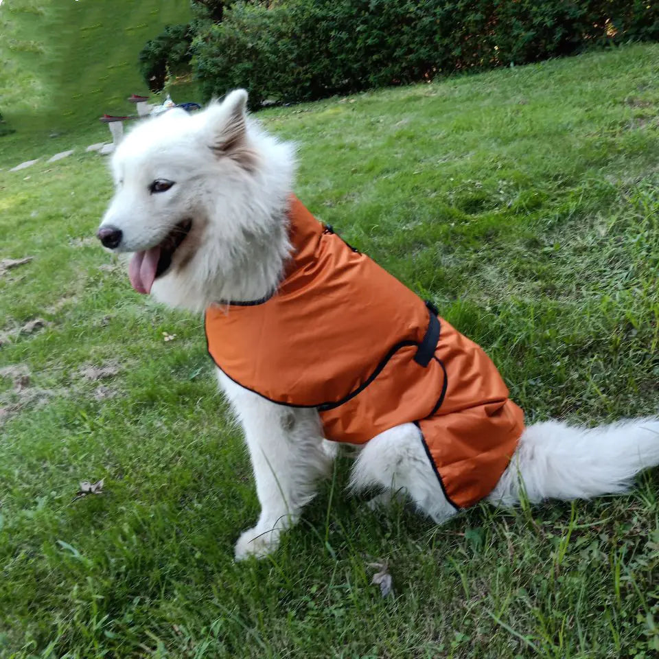 All-Weather Pet Adventure Jacket