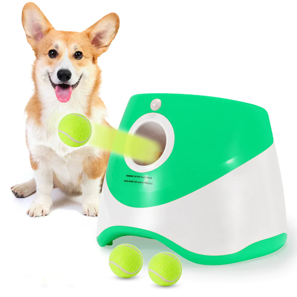 AutoFetch Dog Ball Launcher