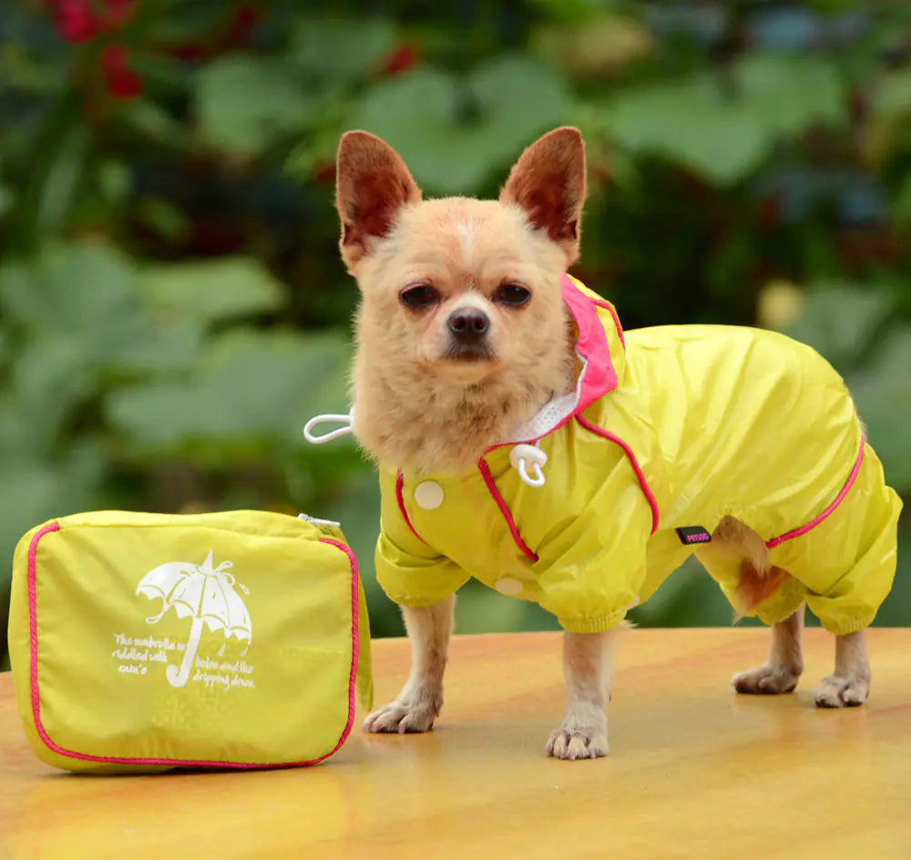 Deluxe Dual-Layer Pet Raincoat