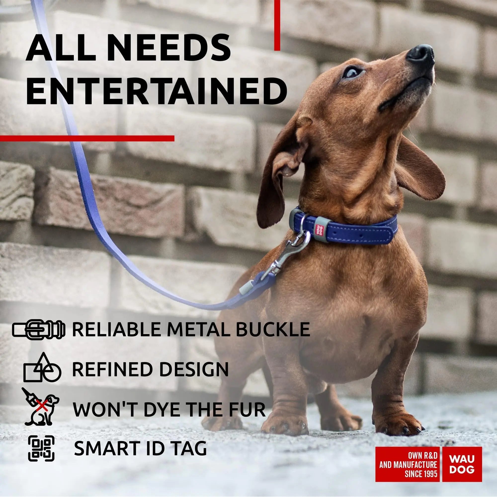 Lavender Durable Leather XS Dog Collar