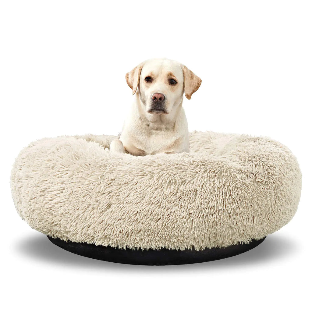 Comfy Cuddler Medium Dog Bed