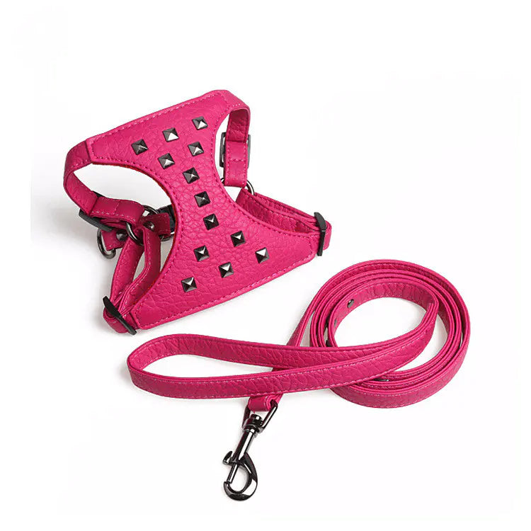 Fashionable Leather Dog Harness & Leash