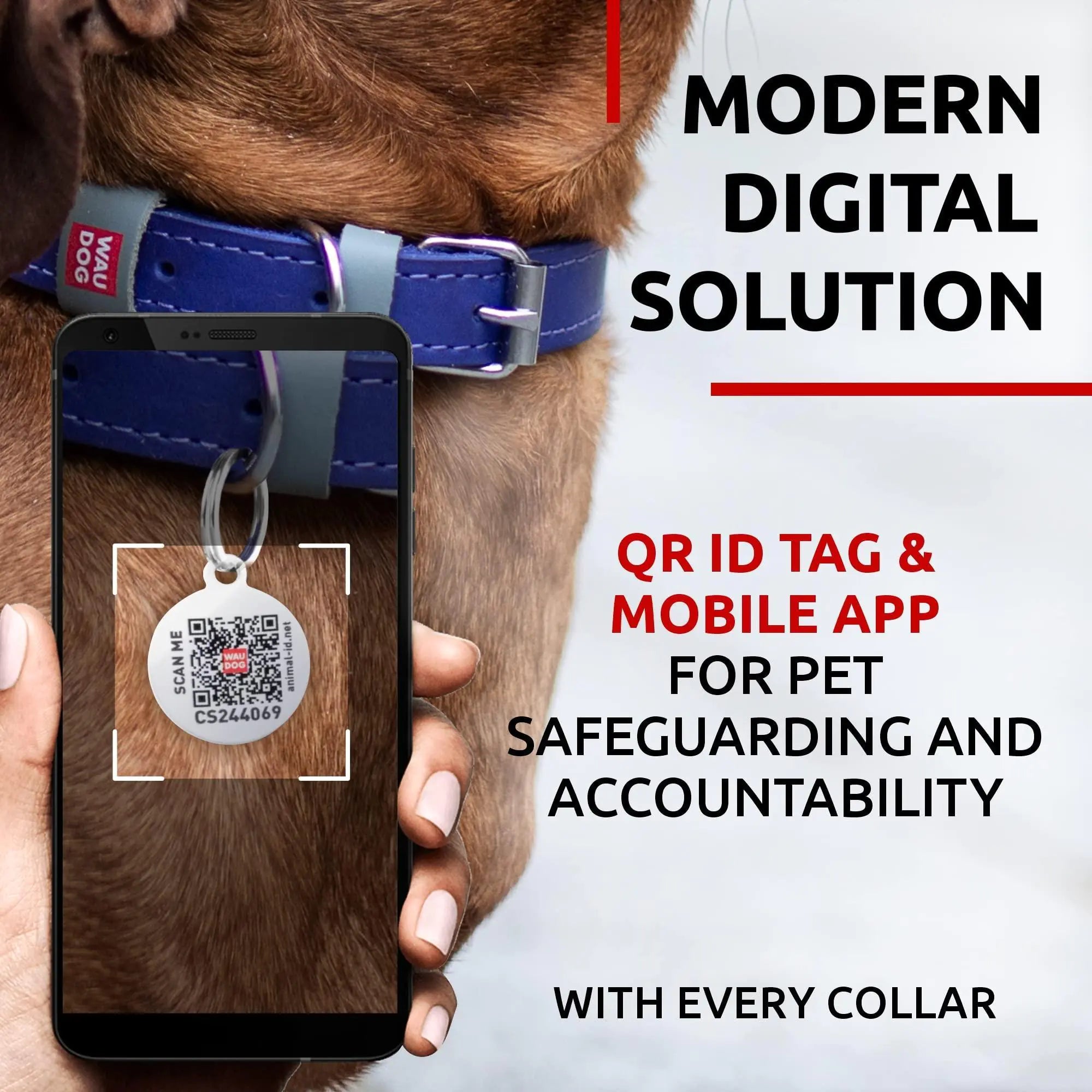 Lavender Durable Leather XS Dog Collar