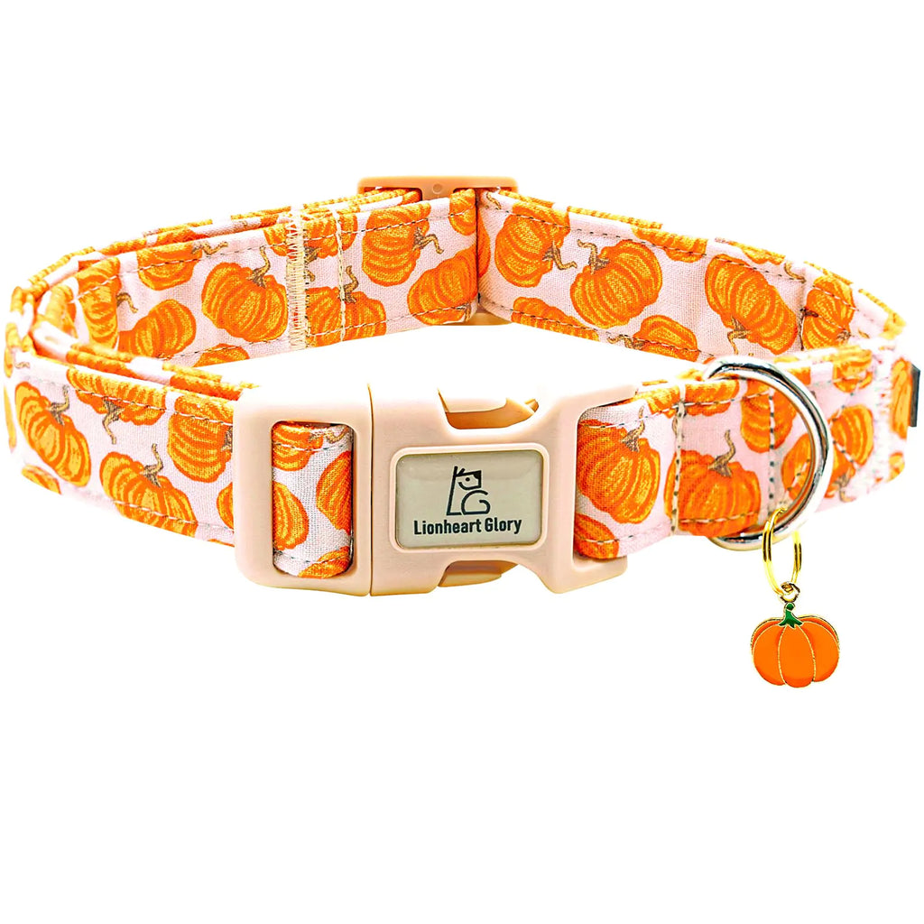 Autumn Chic Pumpkin Dog Collar