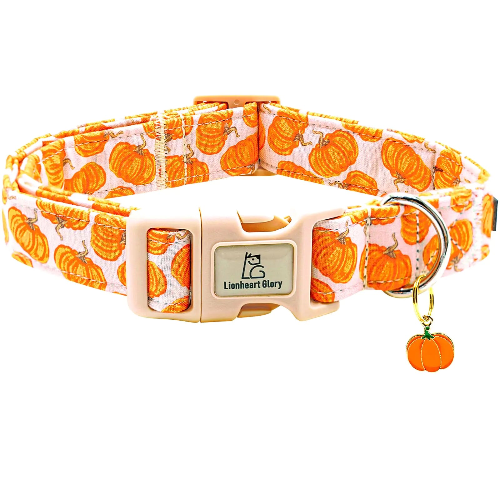 Autumn Chic Pumpkin Dog Collar