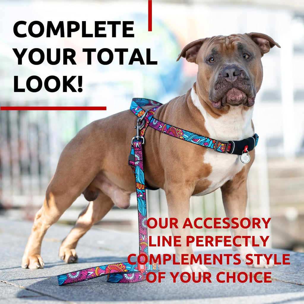 Colorful Nylon Leash for Medium & Large Dogs - 4 Ft
