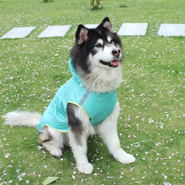 Large Breed Weatherproof Jacket