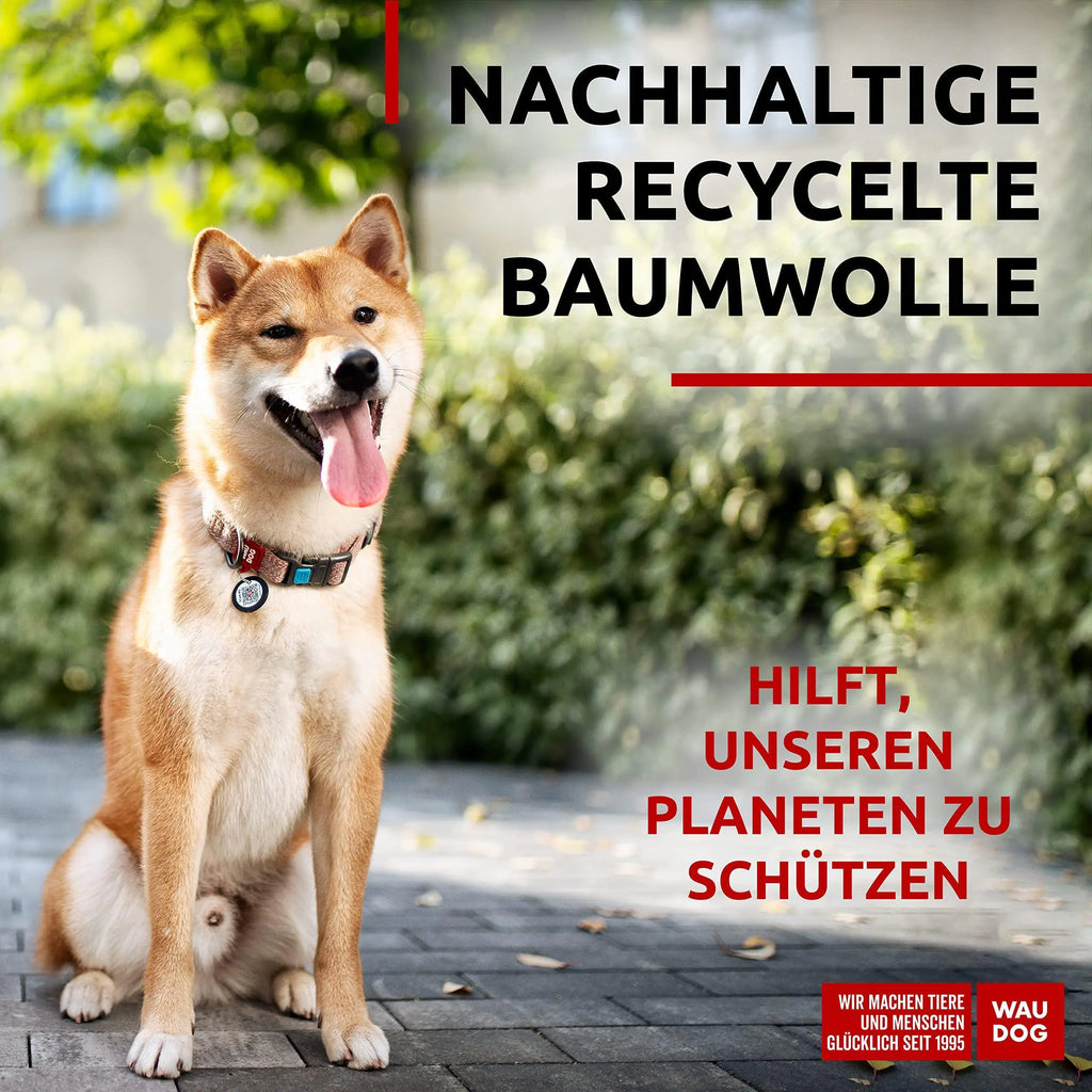 Eco-Friendly Reflective Cotton Dog Collar 10-16 inch