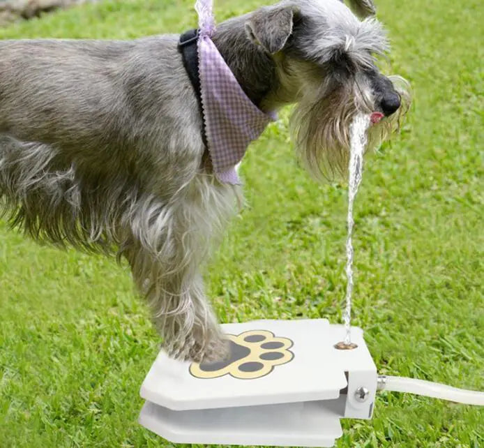 Easy Step Dog Drink Fountain