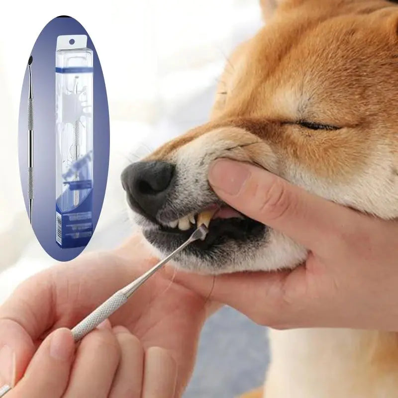 Dual Pet Dental Care Pen