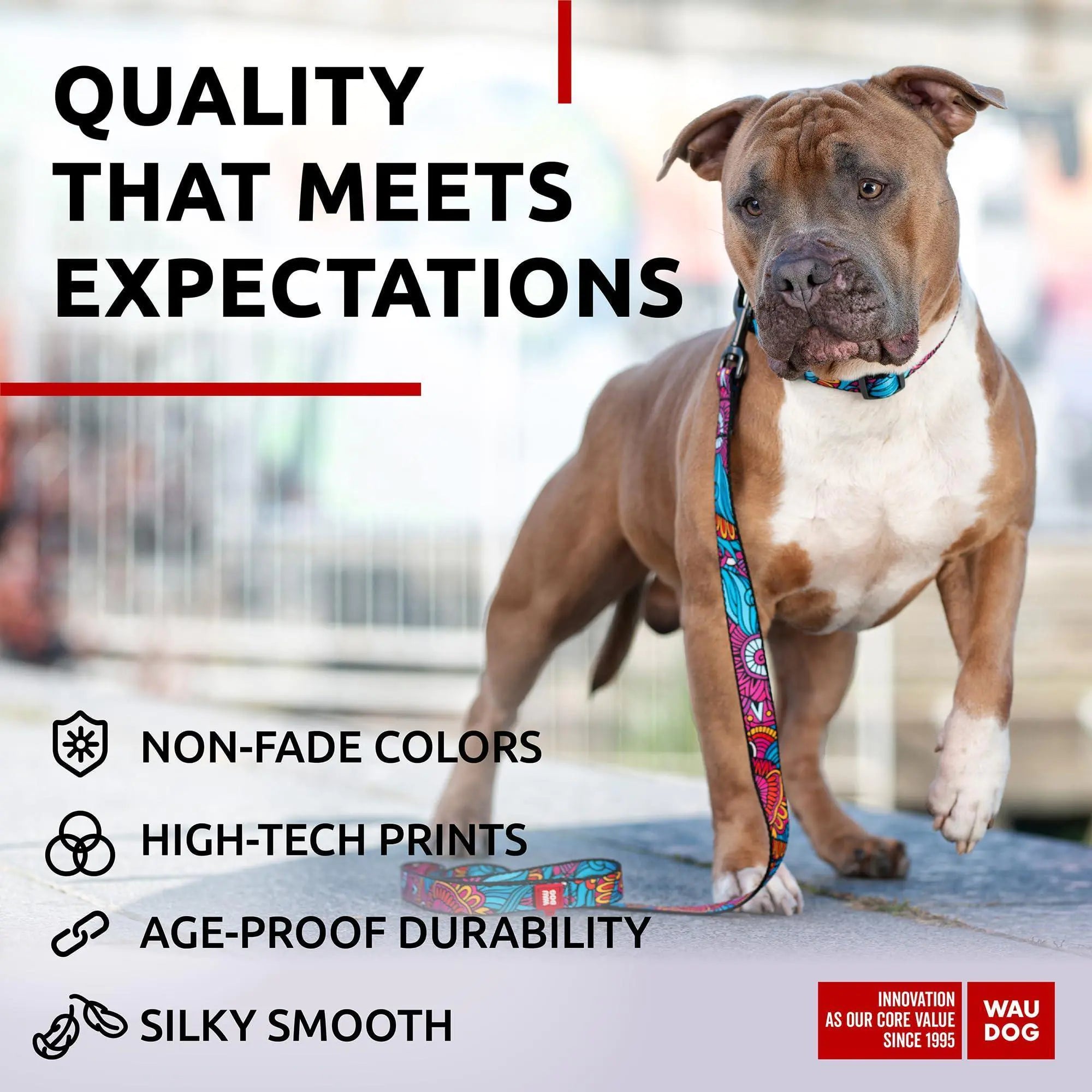 Colorful Nylon Leash for Medium & Large Dogs - 4 Ft