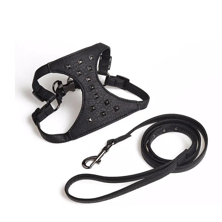 Fashionable Leather Dog Harness & Leash
