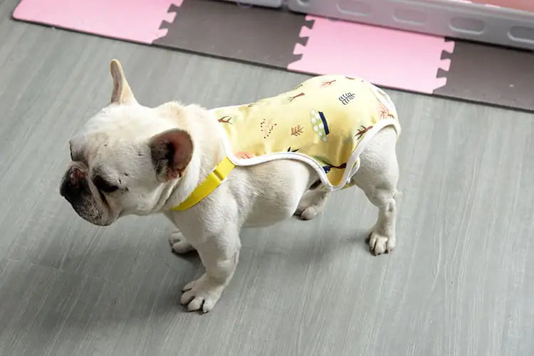 Bulldog Menstrual Pants for Women - Law Fighting Design