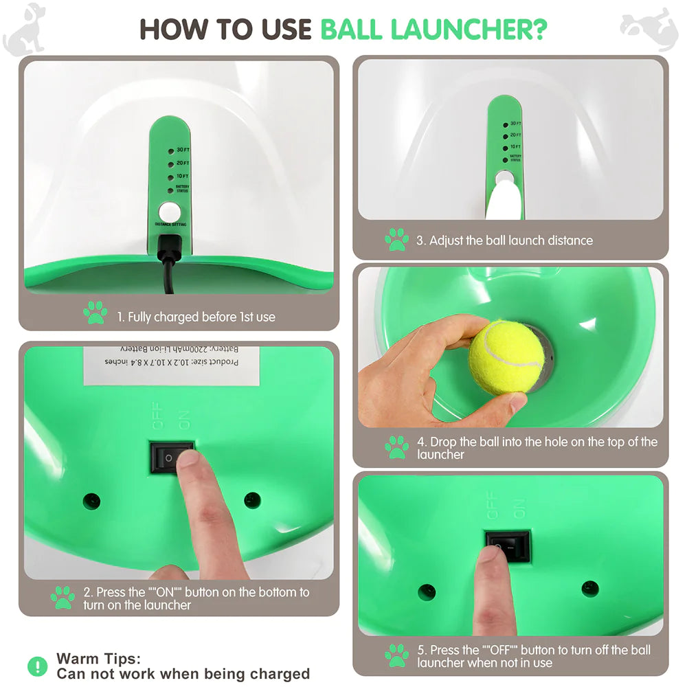 AutoFetch Dog Ball Launcher