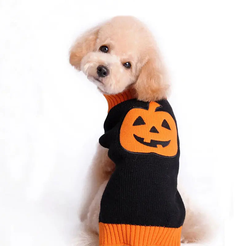 Halloween Pumpkin Pet Sweater